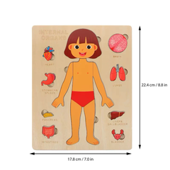 Montessori Đồ Chơi Gỗ Ghép Hình Trò Chơi Giải Phẫu Cơ Thể Con Người Human Body Structure Puzzle