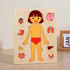Montessori Đồ Chơi Gỗ Ghép Hình Trò Chơi Giải Phẫu Cơ Thể Con Người Human Body Structure Puzzle