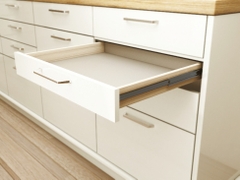Ray Bi Giảm Chấn 250mm Hafele 494.02.060