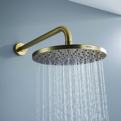 Sen Đầu Gắn Tường Retro Hafele 589.15.390