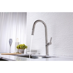 Vòi Rửa Chén Bát Inox Lux-P HT25-SH1F449 Hafele 570.85.045