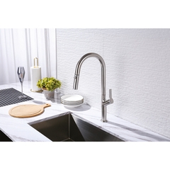 Vòi Rửa Chén Bát Inox Lux-P HT25-SH1F449 Hafele 570.85.045