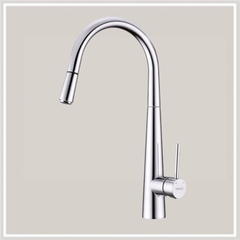Vòi rửa chén Hafele HT21-CH1P245 / Dây Rút , Mã số 577.55.220