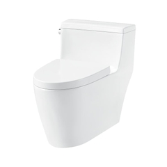 Bồn Cầu 1 Khối Iconic Hafele 588.79.401
