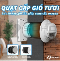 Máy Cấp Khí Tươi Gắn Tường Thu Hồi Nhiệt AIR WOOD VT-501