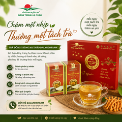 Chậm một nhịp – Thưởng một tách trà, tận hưởng những phút giây an yên mỗi ngày
