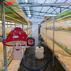 [COMBO] Xuân Tửu Cát Tường Dalanewfarm (1 Rượu ĐTHT 350ml + 1 Hồng Treo Gió 150g + 1 Trà Mix Vị hộp 3 gói + 1 Trà ĐTHT Atiso 10 gói + 1 Trà ĐTHT 10 gói )