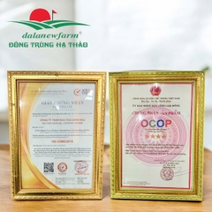 [PHIÊN BẢN GIỚI HẠN] COMBO THUYỀN PHÁT LỘC ĐÔNG TRÙNG