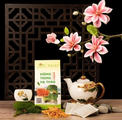 Trà túi lọc DTHT hộp xanh
