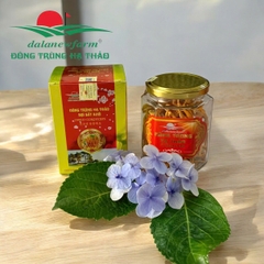 ĐTHT sấy thăng hoa Size 3