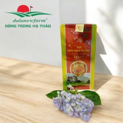 Trà đông trùng hạ thảo Dalanewfarm | Hỗ trợ tăng cường hệ miễn dịch giảm mệt mỏi | Sản phẩm OCOP 4 sao Lâm Đồng