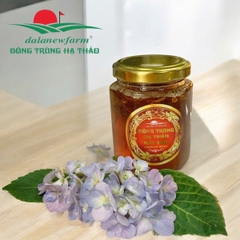 Đông trùng hạ thảo mật ong Dalanewfarm | Khỏe từ bên trong – Đẹp từ bên ngoài