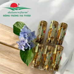 HỘP NHỘNG ĐÔNG TRÙNG HẠ THẢO DALANEWFARM (6 ống/24 con)