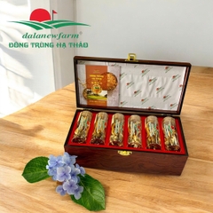 HỘP NHỘNG ĐÔNG TRÙNG HẠ THẢO DALANEWFARM (6 ống/24 con)