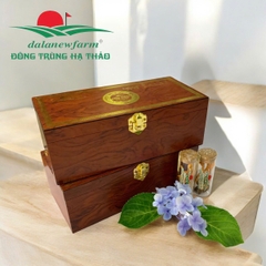HỘP NHỘNG ĐÔNG TRÙNG HẠ THẢO DALANEWFARM (6 ống/24 con)