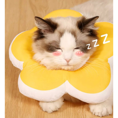 Gối Chống Liếm Cho Thú Cưng Hình Bông Hoa