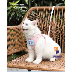 Dây Dắt Chó Mèo Đi Dạo