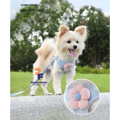 Dây Dắt Chó Mèo Đi Dạo