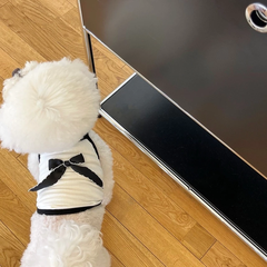 Áo Thun 2 Dây Thoáng Mát Cho Thú Cưng, Áo Thun Mùa Hè Cho Chó Mèo