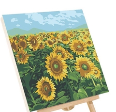 Tranh tô màu số hóa đã căng khung kèm màu, cọ size 20x20, tranh số hóa hoạt hình, bé ba, phong cảnh, loopy, cappy bara