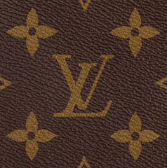 Túi Speedy Bandoulière 20