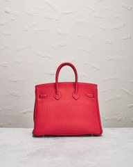 Hermes Togo Birkin 25 Handbag
