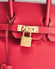 Hermes Togo Birkin 25 Handbag