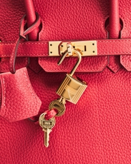 Hermes Togo Birkin 25 Handbag