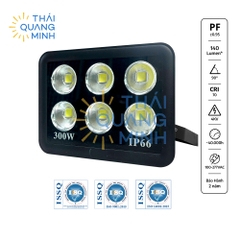 Đèn Pha Led Ly 300W FL-Lite300T-T 6500K