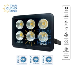 Đèn Pha Led Ly 300W FL-Lite300V-T 3000K