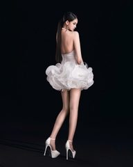 zendria-dress