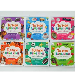 Sách - Từ Điển Bằng Hình Cho Trẻ Mầm Non  - Đinh Tị Books