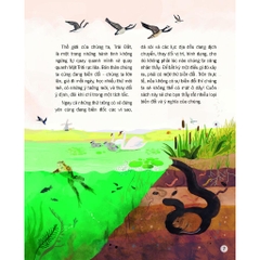 Sách - Vạn vật biến đổi - Bách khoa tri thức cho trẻ từ 6 - 12 tuổi - Đinh Tị Books