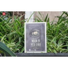 Sách - Ngựa ô yêu dấu - Đinh Tị Books