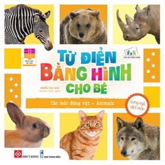 Sách - Từ Điển Bằng Hình Cho Trẻ Mầm Non  - Đinh Tị Books