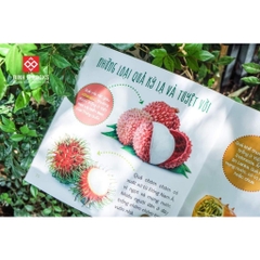 Sách - Healthy eating - Ăn uống lành mạnh - Đinh Tị Books