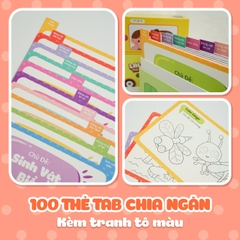 Thẻ học thông minh Lala Lingo, Flashcard nhiều chủ đề dành cho bé