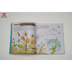 Sách thiếu nhi - Wow, Thì Ra Là Thế - Tủ Sách Bách Khoa Tri Thức Cho Bé (lẻ tùy chọn) - Đinh Tị