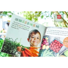 Sách - Healthy eating - Ăn uống lành mạnh - Đinh Tị Books