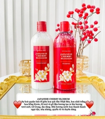 Cặp Gội + Xả Bath & Body Works