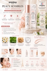 Kem dưỡng ẩm làm dịu da nhạy cảm Sisley Sensitive Skin Soothing Care 40ml