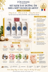 Set Kem Tay Bơ Đậu Mỡ L'Occitane Shea Butter 30ml x4