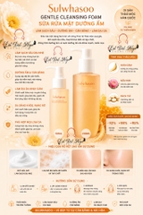 Sửa Rửa Mặt Sulwhasoo Gentle Cleansing Foam