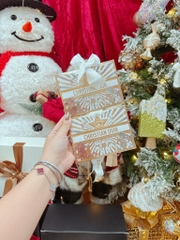 Túi Giấy DIOR