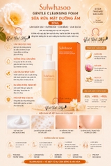 Sửa Rửa Mặt Sulwhasoo Gentle Cleansing Foam
