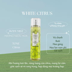Xịt Mist Hương Nước Hoa Bath & Body Works 236ml