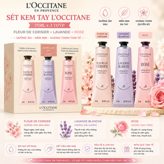 Sét Kem Tay Loccitane 75ml x 3 tuýp : Fleur De Cerisier/ Rose / Lavande