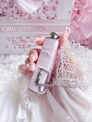 Case Son DIOR