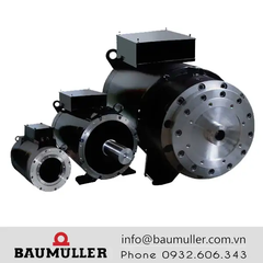 Động cơ High torque Baumuller dòng DST2
