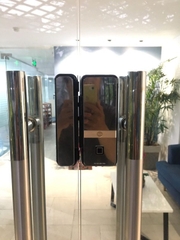 KHÓA VÂN TAY CỬA KÍNH YALE YDG 413A